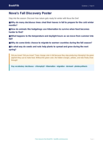 Free Fall Science Lesson for Grade 3 | US Common Core