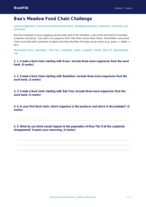 Science food chains activity sheet grade 3 core