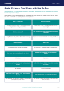 Free Food Chains Flashcards | Grade 3 | Science | BookFlik