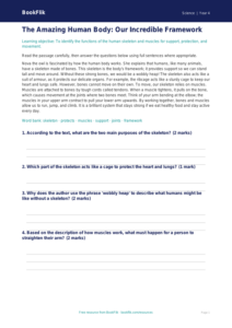 Free Human Body Comprehension | Grade 3 | Science | BookFlik