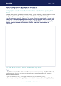 Free Human Body Drawing Sheet | Grade 3 | Science | BookFlik