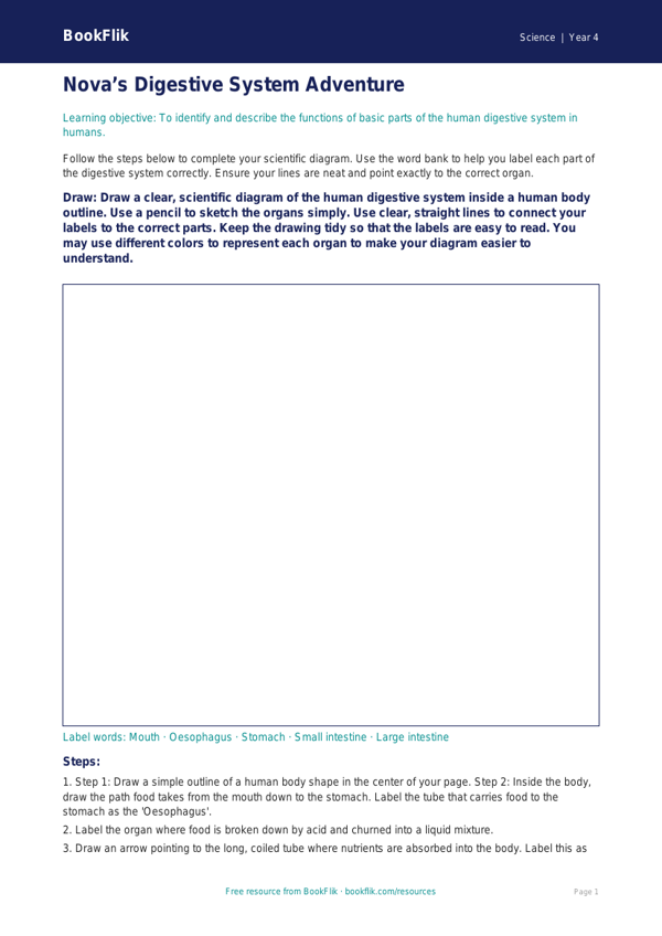 Free Human Body Drawing Sheet | Grade 3 | Science | BookFlik worksheet preview — Science Human Body