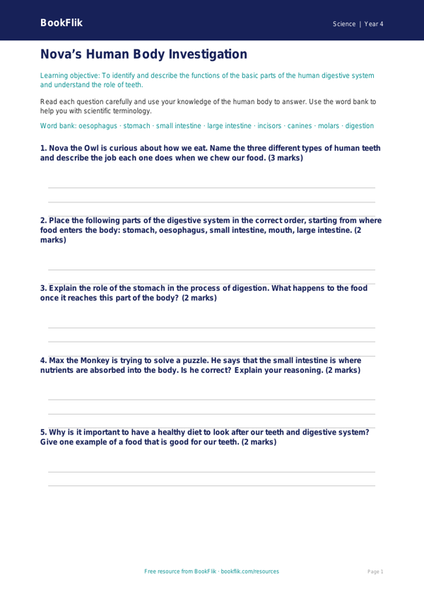 Free Human Body Worksheet | Grade 3 | Science | BookFlik worksheet preview — Science Human Body