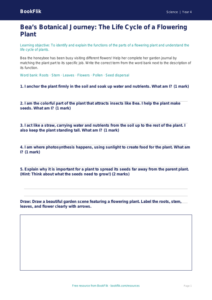 Science plants activity sheet grade 3 core