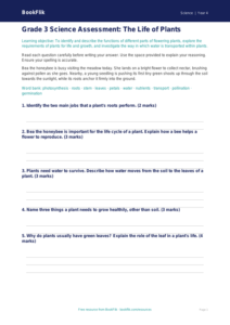 Free Plants Assessment | Grade 3 | Science | BookFlik