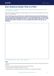Free Plants Worksheet for Grade 3 | US Common Core Science