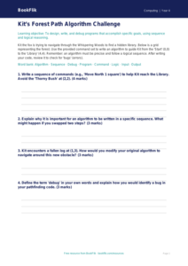 Coding Activity Sheet Year 4 | Computing Logic & Algorithms | BookFlik