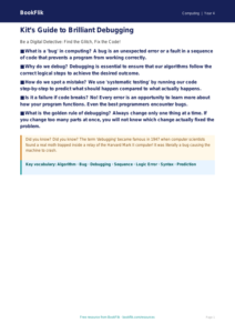 Free Debugging Poster | Year 4 | Computing | BookFlik