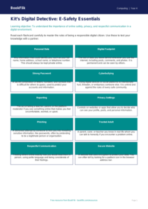 Free E Safety Flashcards | Year 4 | Computing | BookFlik