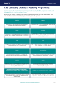 Programming Flashcards Year 4 | Computing Resources | BookFlik