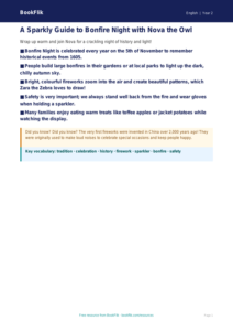 Free Bonfire Night Poster | Year 2 | English | BookFlik