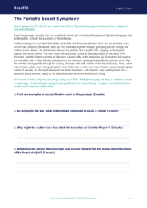 Free Figurative Language Comprehension | Year 5 | English | BookFlik
