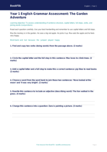 Free Grammar Assessment | Year 1 | English | BookFlik