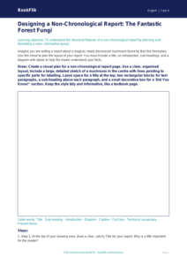 English non chronological reports drawing sheet year 4 core