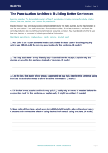 Free Punctuation Activity Sheet | Year 5 | English | BookFlik