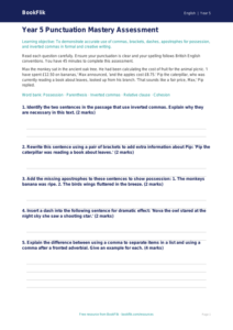 Free Punctuation Assessment | Year 5 | English | BookFlik