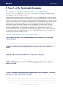 Free Report Writing Comprehension | Year 4 | English | BookFlik