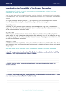 Free Report Writing Track Sheet | Year 4 | English | BookFlik