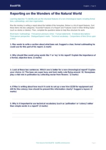 Free Report Writing Activity Sheet | Year 5 | English | BookFlik