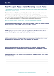 Free Speech Marks Assessment | Year 4 | English | BookFlik
