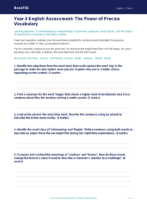 Year 4 Vocabulary Assessment: Greater Depth Challenge | BookFlik