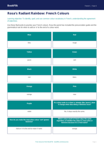 French Colours Flashcards | Year 4 French Resources | BookFlik