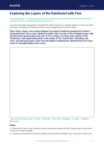 Free Rainforests Drawing Sheet | Year 4 | Geography | BookFlik
