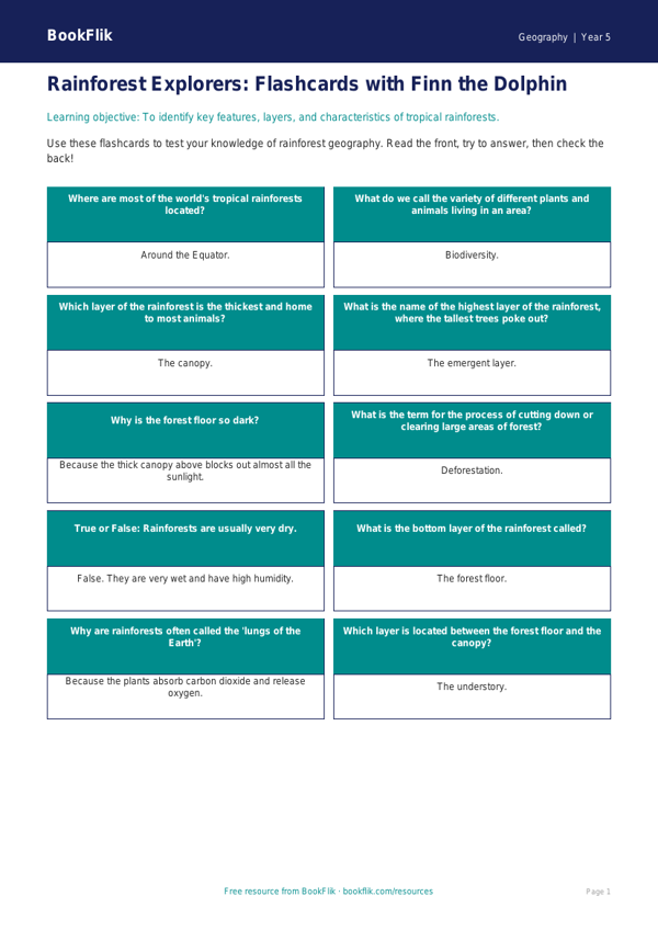 Rainforests Flashcards Year 5 | Geography Resources | BookFlik worksheet preview — Geography Rainforests