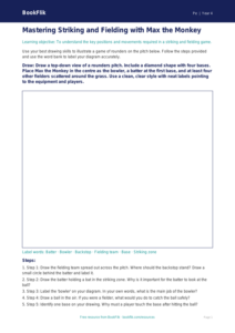 Striking and Fielding Drawing Sheet | Year 4 PE | BookFlik