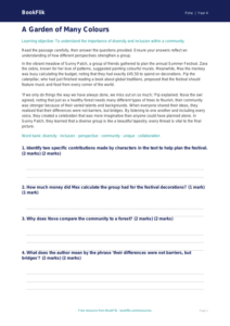 Free Diversity And Inclusion Comprehension | Year 4 | HASS / Personal Development | BookFlik