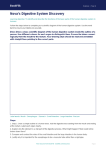 Free Animals Including Humans Drawing Sheet | Year 4 | Science | BookFlik