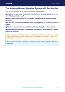 Free Animals Including Humans Poster | Year 4 | Science | BookFlik