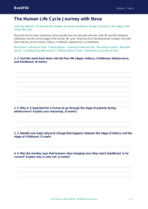 Free Animals Including Humans Activity Sheet | Year 5 | Science | BookFlik
