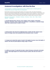 Free Autumn Science Activity Sheet | Year 4 | Science | BookFlik