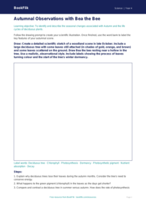Free Autumn Science Drawing Sheet | Year 4 | Science | BookFlik