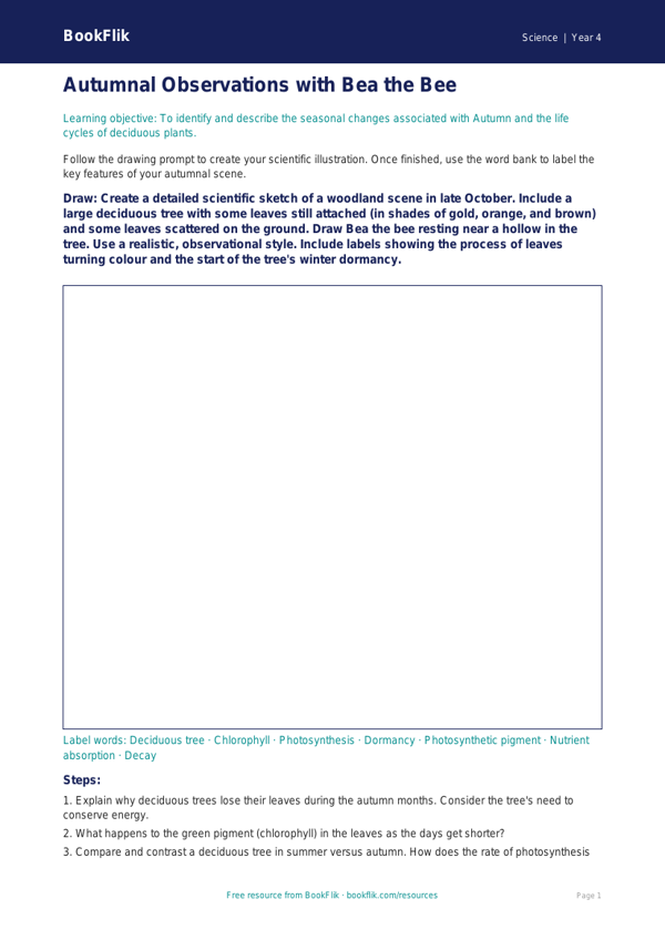 Free Autumn Science Drawing Sheet | Year 4 | Science | BookFlik worksheet preview — Science Autumn Science