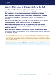 Free Autumn Science Poster | Year 4 | Science | BookFlik