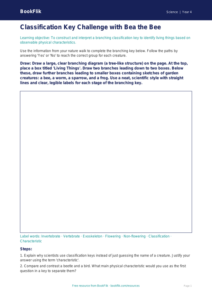 Free Classification Keys Drawing Sheet | Year 4 | Science | BookFlik