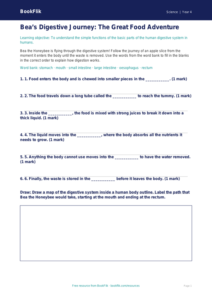 Free Digestion Activity Sheet | Year 4 | Science | BookFlik