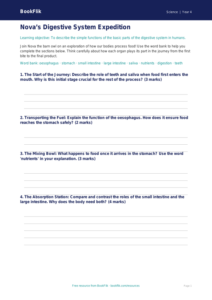 Free Digestion Template | Year 4 | Science | BookFlik