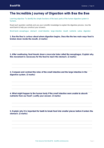 Free Digestion Worksheet | Year 4 | Science | BookFlik