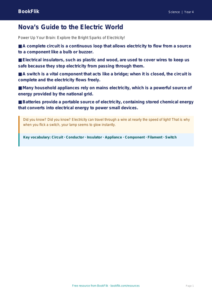 Free Electricity Poster | Year 4 | Science | BookFlik