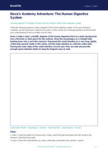 Free Human Body Drawing Sheet | Year 4 | Science | BookFlik