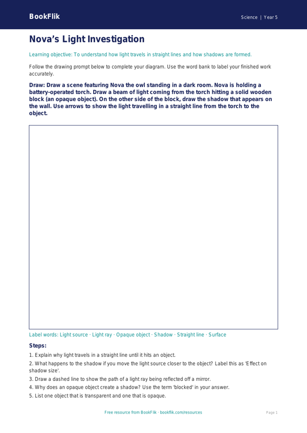 Free Light Drawing Sheet | Year 5 | Science | BookFlik worksheet preview — Science Light