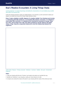 Free Living Things Drawing Sheet | Year 4 | Science | BookFlik