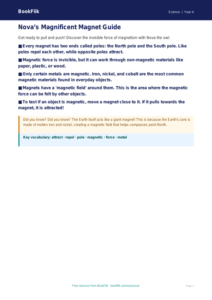 Free Magnets Poster | Year 4 | Science | BookFlik