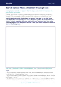 Free Nutrition Drawing Sheet | Year 4 | Science | BookFlik