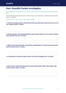 Free Plants Worksheet | Foundation Science | BookFlik