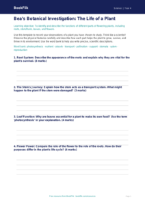 Free Plants Template | Year 4 | Science | BookFlik