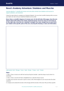 Free Skeleton And Muscles Drawing Sheet | Year 4 | Science | BookFlik